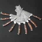 Luxury 9 pieces Damascus Knife Set for Kitchen, Gift
